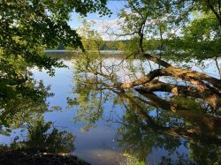 469480868 18286867312245021 6860147846673342194 N