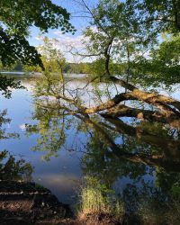 469482319 18286867009245021 8334931501076174355 N