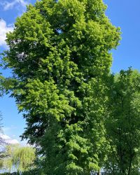 469489665 18286861564245021 3444330346398968553 N