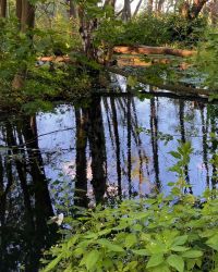 469499622 18286867039245021 3399171129797742648 N