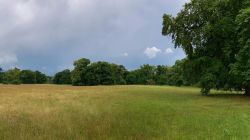 469510606 18286860919245021 5917121806679509310 N