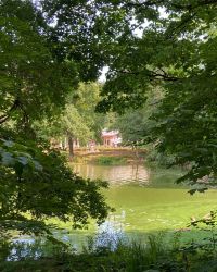 469513903 18286868008245021 4153891815380824638 N