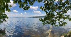 469556066 18286861636245021 3127808172048505886 N