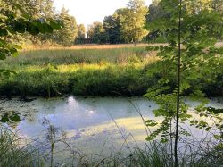 469557851 18286867222245021 4531131013923058011 N