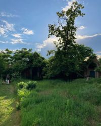 469564639 18286862656245021 1049024402172397872 N