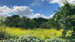 469564871 18286868818245021 2796368001229493274 N