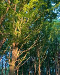 469580185 18286860082245021 647665216392915280 N