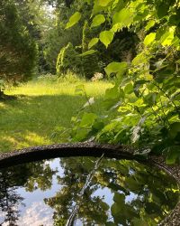 469582762 18286862755245021 516609938879636511 N