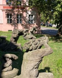 469582762 18286868134245021 4905995196787610528 N