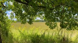 469592868 18286868863245021 653387904354511676 N