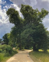 469598772 18286860772245021 9168404821185923379 N