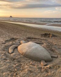 469599395 18286865890245021 7743469088061101093 N