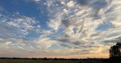 469609948 18286867348245021 4616410456403152056 N