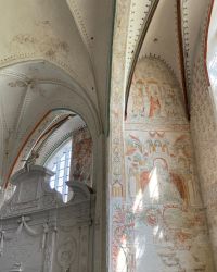 469611246 18286865848245021 7284964062340902125 N