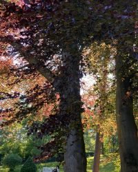 469611270 18286861930245021 2239058326289870735 N