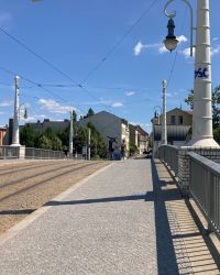 469613287 18286867804245021 7009879907421954598 N