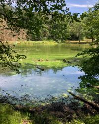 469627502 18286867798245021 4156933423196313635 N