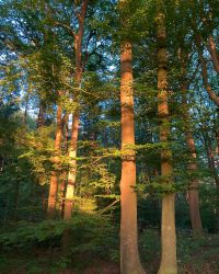 469630647 18286859884245021 2366477261222667483 N