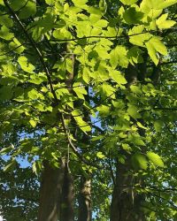 469647501 18286861693245021 121017579303956208 N