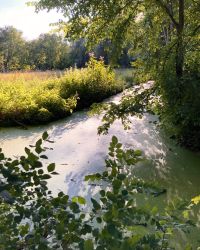 469700302 18286867330245021 2738793728409303357 N