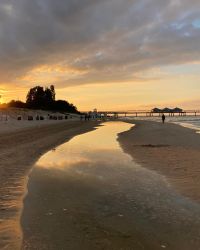 469705362 18286865896245021 5882017456601057901 N