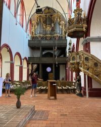 469770224 18286868137245021 199818113740000993 N