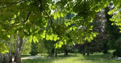 469777243 18286861738245021 5664638391960806752 N