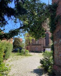 469777674 18286867783245021 2068247595472168376 N