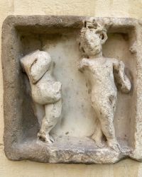 469777910 18286868041245021 5255785284672829926 N