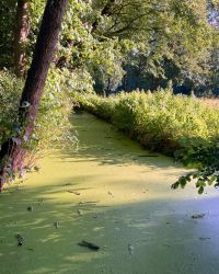 469778567 18286867324245021 8128071433175409575 N