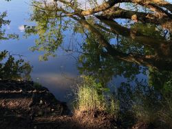 469778961 18286867279245021 5339781720993798920 N