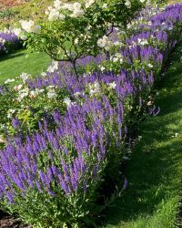 469778969 18286861918245021 6776732696513221053 N