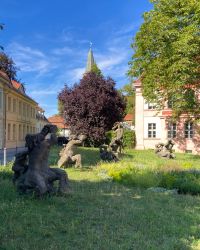 469813672 18286867780245021 7800228428298795153 N