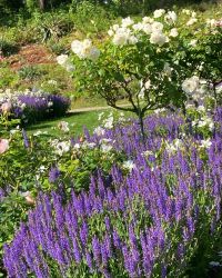 469816312 18286861915245021 5544137061167068198 N