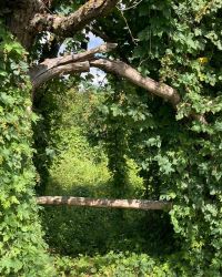 469821007 18286868644245021 1435698587189456225 N