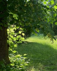 469827748 18286862440245021 5698451093528348466 N