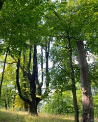 469849483 18286867786245021 8426746022788965953 N