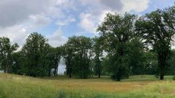 469863815 18286860904245021 6478631263363611973 N