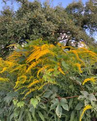 469864729 18286868614245021 1351485163708043397 N