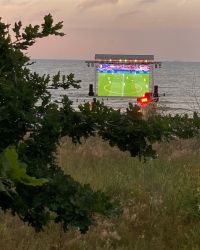 469882935 18286865920245021 4135544006765221471 N