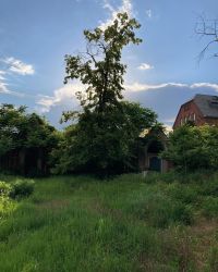 469882942 18286862413245021 3742867071886308741 N