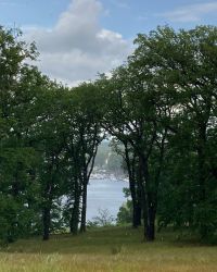 469883745 18286861153245021 5665757915361183626 N