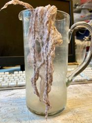 527279981 18313991104245021 4701764101234530472 N