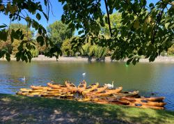 535742026 18316143781245021 722229542412255219 N