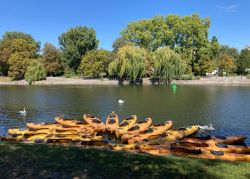 535859128 18316143793245021 3181918019846984664 N