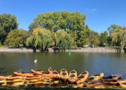 537569176 18316143802245021 2060880774926571958 N